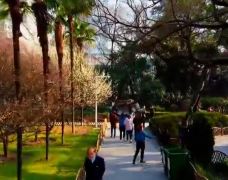 中山公园-武汉-世界美食游走达人