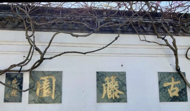 古藤园旅行图片 1