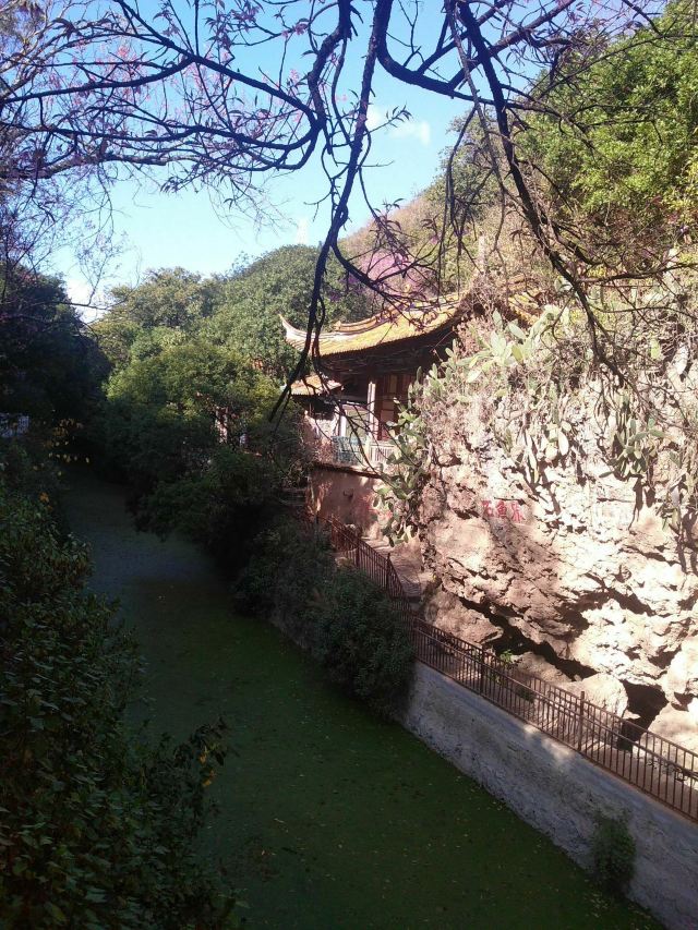 界鱼石公园旅行图片 2