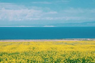 最美大环线:满足你对大西北的一切幻想