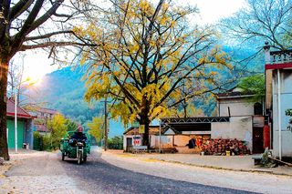 长兴有一个美丽的小山村，它的名字叫石岕口，仿佛静谧的山水画般