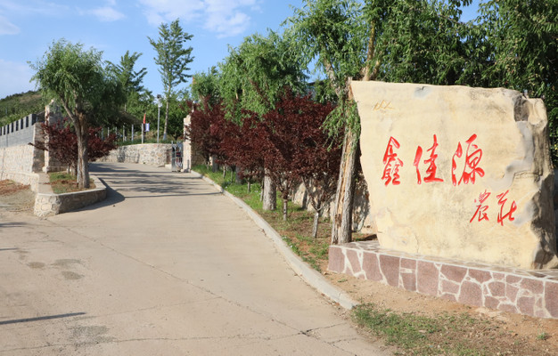 蓟县穿芳峪鑫佳源农场民宿，不仅有孔雀园和鹿场，鹿肉美食太诱人