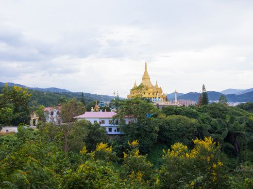 打洛森林公园