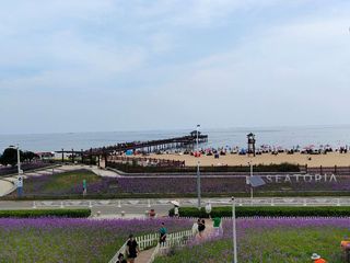 小妹妹的毕业之旅