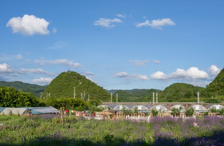蓬莱仙界园