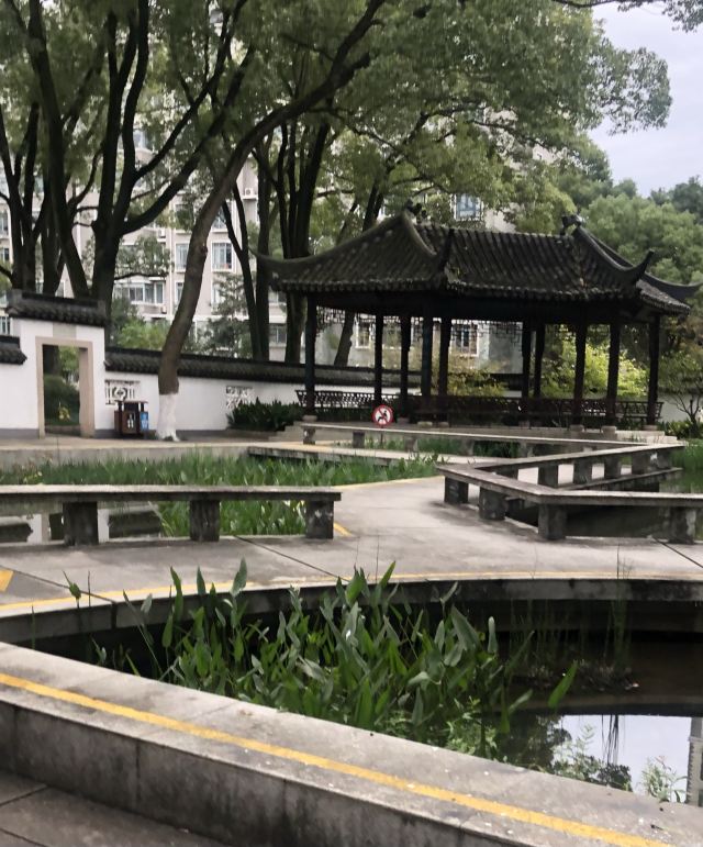 莘庄公园旅行图片 5