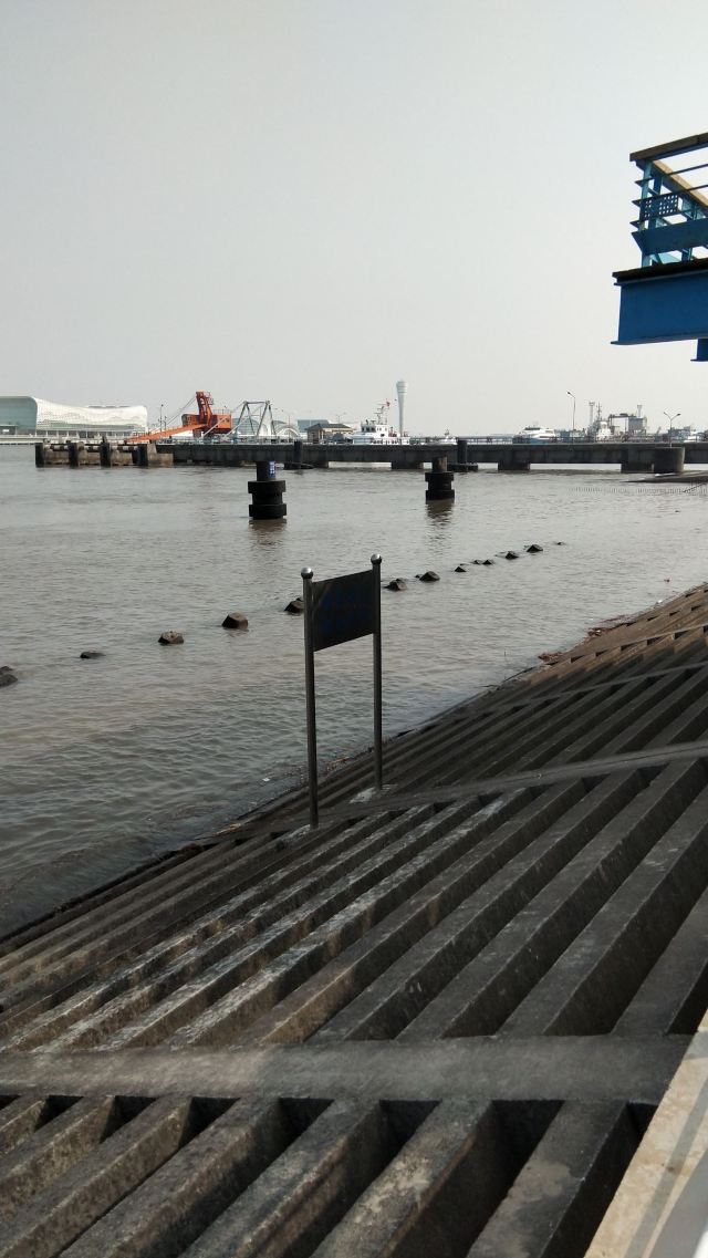 滨江大道旅行图片 4