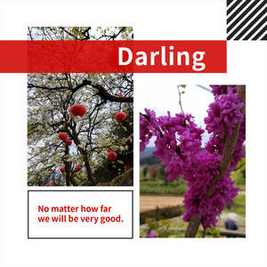 景宁游记图文-纵情畲乡——漫步之旅