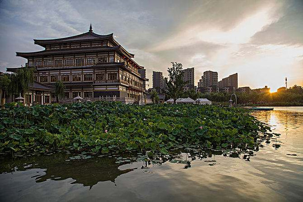 西安唐文化哪里能体现？周末带孩子好好感受一下。