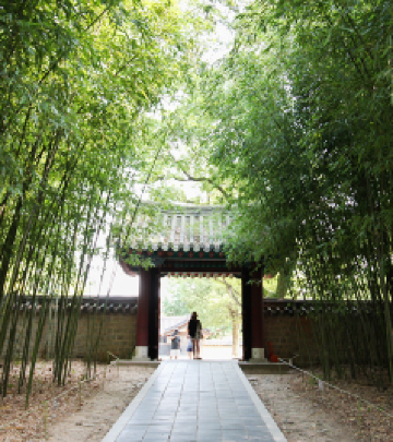 全州市游记图文-看韩国全州市旅游漫画 带你玩转韩国全州市