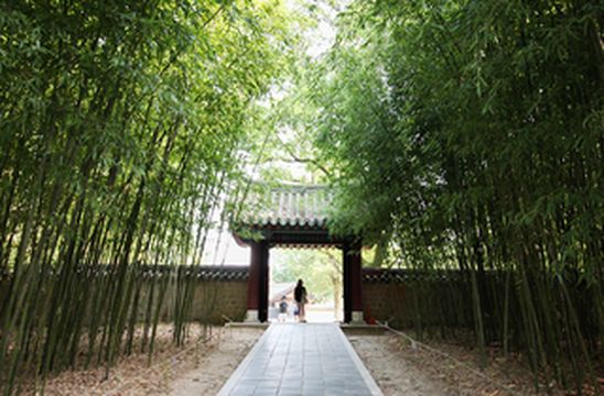 看韩国全州市旅游漫画 带你玩转韩国全州市