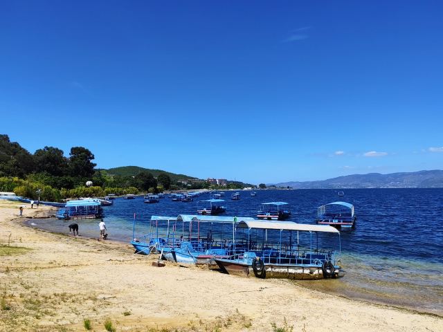 抚仙金滩旅行图片 1