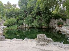 石湾泉-济南-活着就是为了报恩