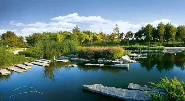 大望京公园旅行图片 1