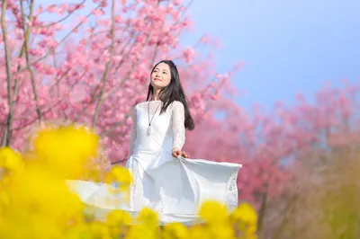 问花村