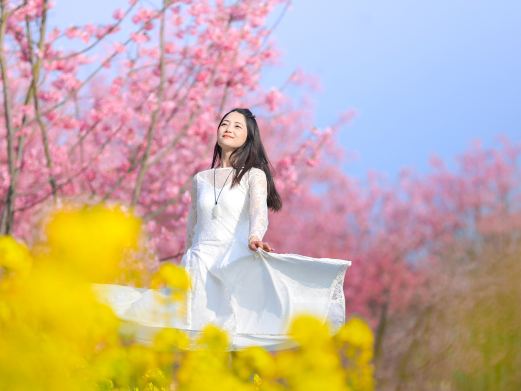 问花村