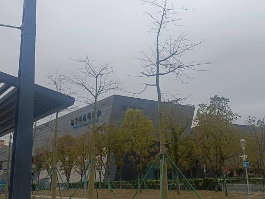 福清侨乡博物馆
