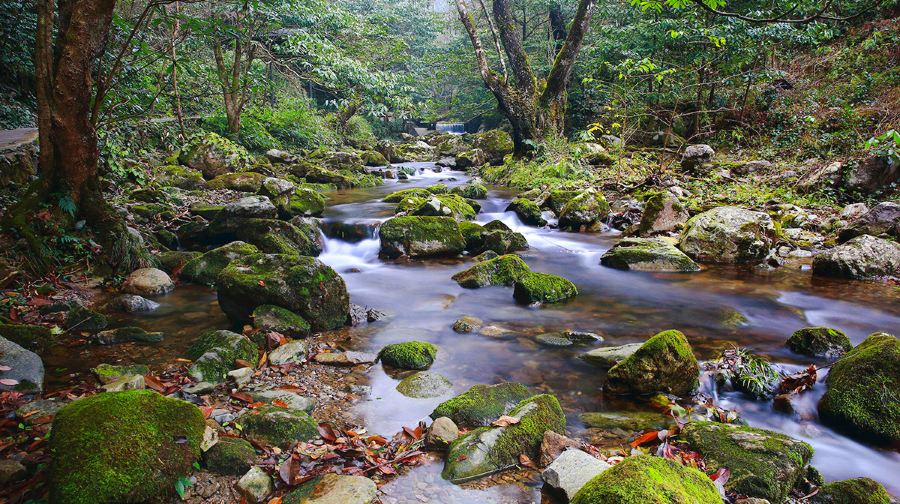 徽州大峡谷