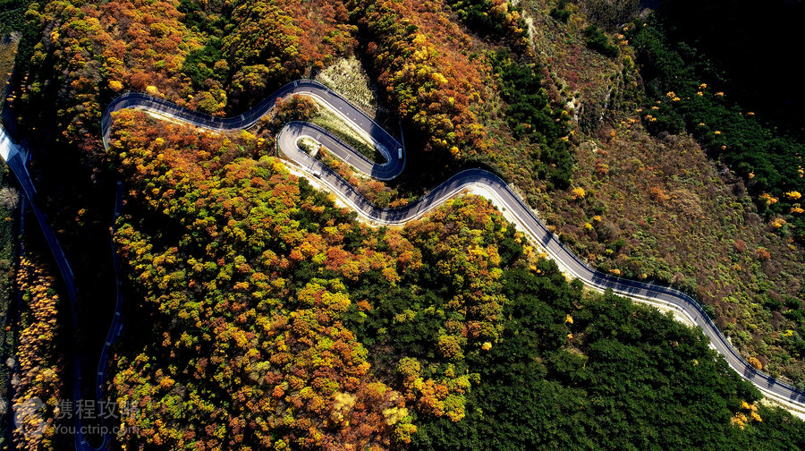 六盤山國家森林公園