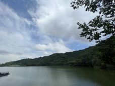 梅花湖-宜兰-岱山香橙