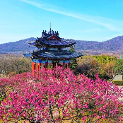 南京+扬州4日3晚自由行