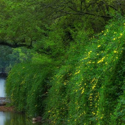 丽水+松阳+景宁+遂昌4日3晚自由行