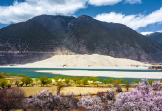 佛掌沙丘景点图片