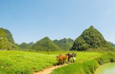 上林霞客桃源壮乡旅游度假区-上林-吴立珍