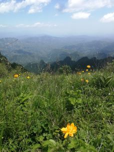 驼梁风景区-平山-林中行者