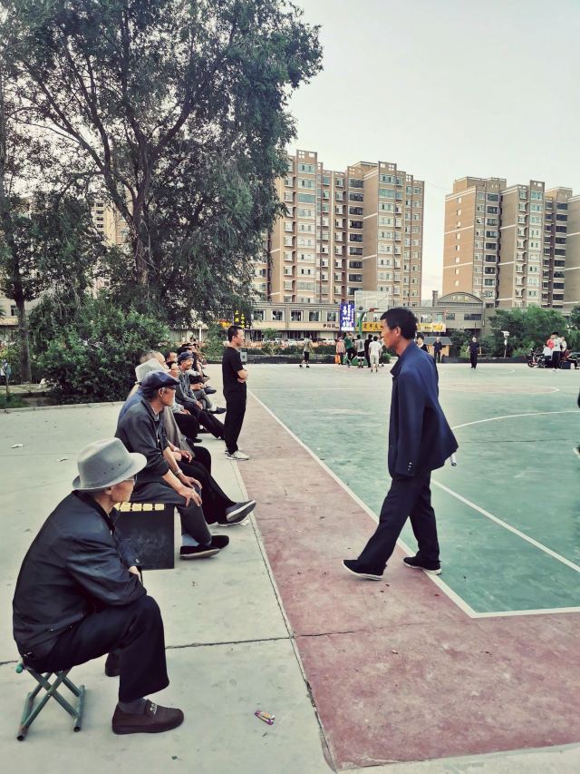 南湖生态示范园旅行图片 6
