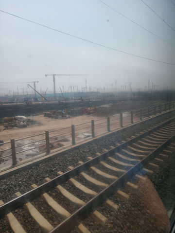 疫末出游---又下天津卫