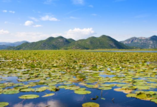 斯库台湖景点图片