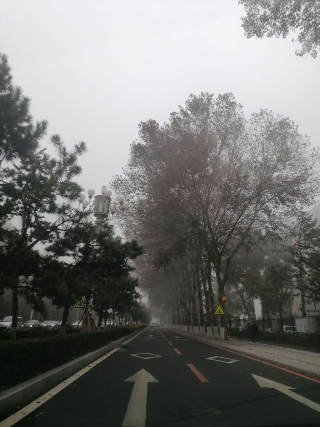 长春市百花园旅行图片 3