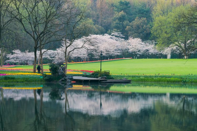 Hangzhou Brief Guide