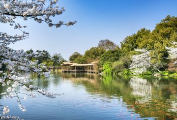 杭州西湖一日游【私家小团+专车接送+全程陪同讲解】【游览5A景区灵隐寺飞来峰，登雷峰塔俯瞰西湖全景，感受白蛇传说】