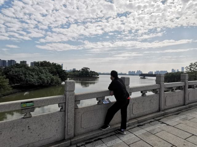 北滘公园旅行图片 3