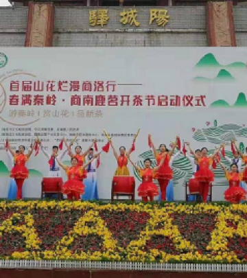 商南游记图文-首届山花烂漫商洛行暨春满秦岭 商南鹿茗开茶节盛大举行