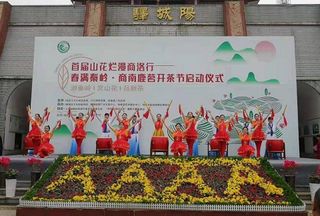 首届山花烂漫商洛行暨春满秦岭 商南鹿茗开茶节盛大举行