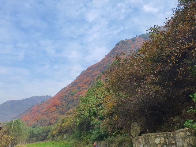 抱龙峪旅行图片 2