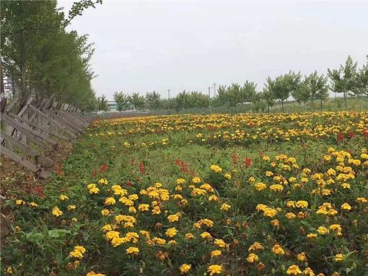 辽宁凤城草河国家湿地公园