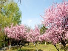 苏州中国花卉植物园-苏州-C-IMAGE