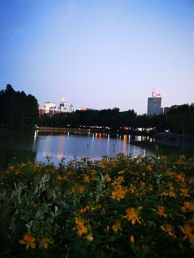 金桥公园旅行图片 8