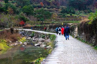 徒步南黄古道,赏“南山秋色”,醉人的秋色仿佛油画一般
