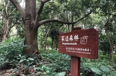 茂名森林公园-茂名-睡恣@M丶