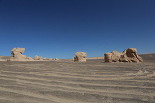 中国游记图片] 探险大、小南湖，穿越罗布泊 ——2020秋西藏新疆青海自驾游记（十五）