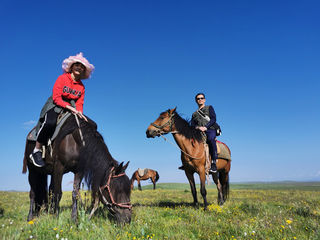 女儿的小学毕业之旅Part 3~2021暑假自驾游【若尔盖、扎尕那、拉卜楞寺篇】