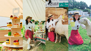 珠宝之都番禺的非一般旅行：带着五星级酒店豪华下午茶去喂羊