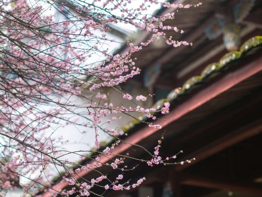 林阳禅寺