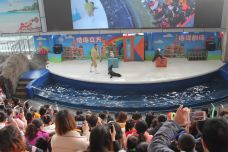 海滨城浩海立方海洋公园-成都-C-IMAGE