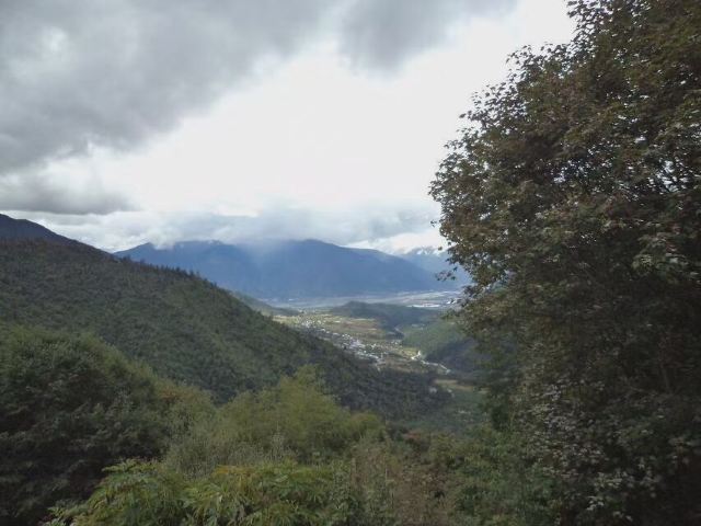 鲁朗林海风景区旅行图片 1